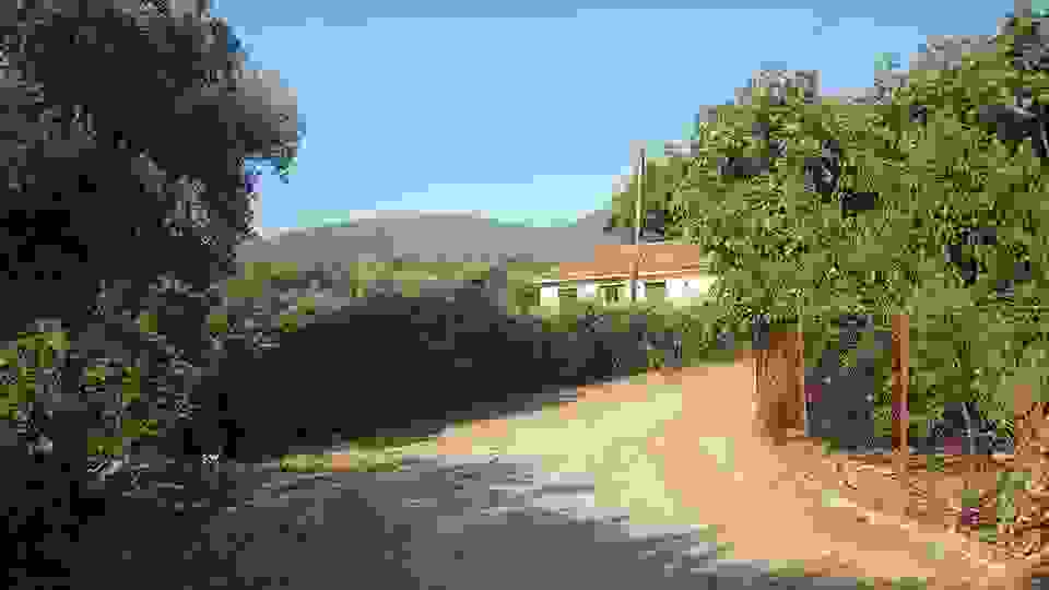sam15