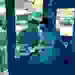 sam