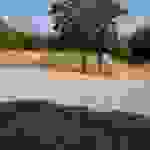 sam16