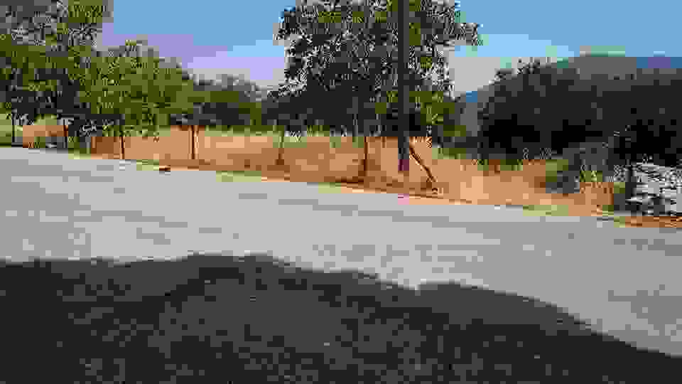 sam16