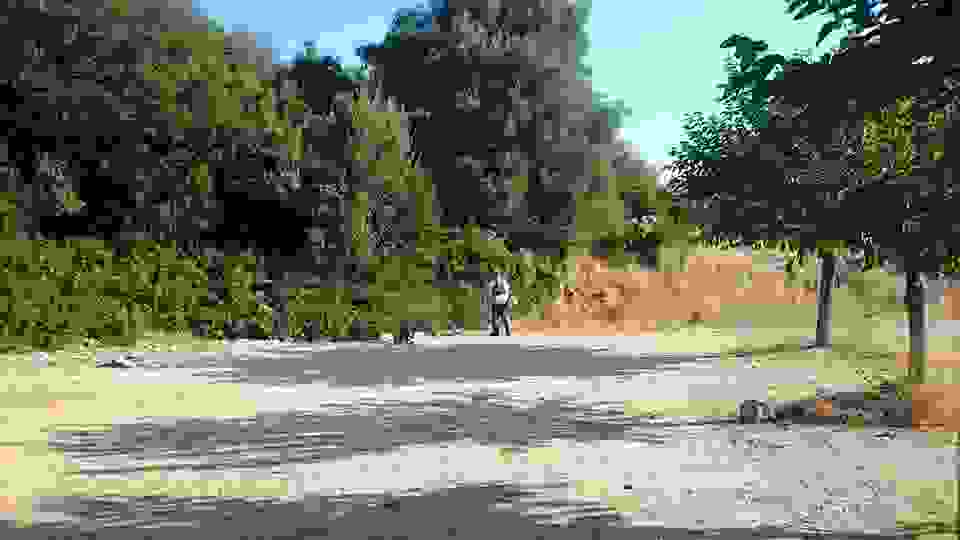 sam16