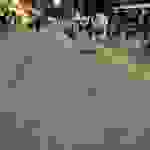 sam16