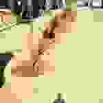 sam17