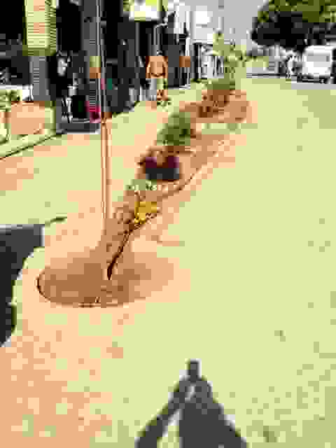 sam17