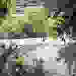 sam19