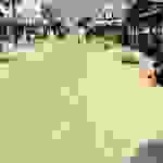 sam19