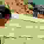sam20