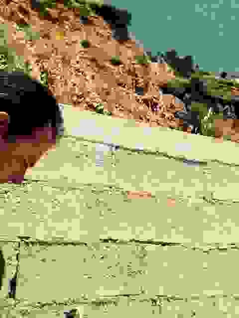 sam20