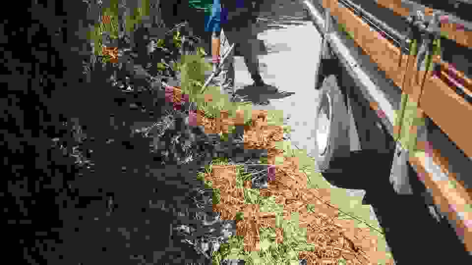 sam2
