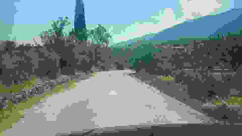 sam2