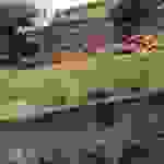 sam2