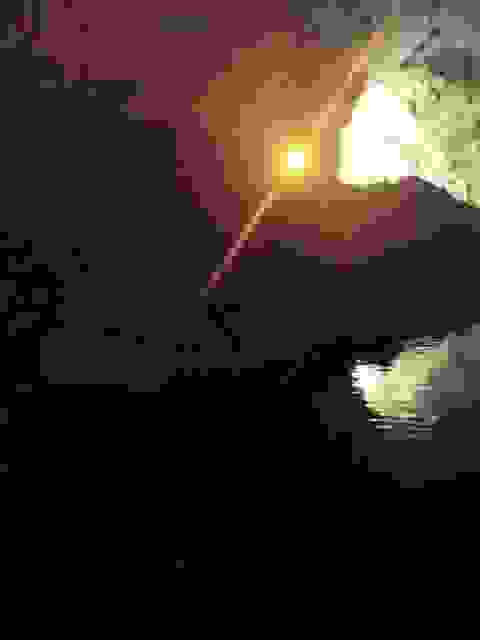 sam22