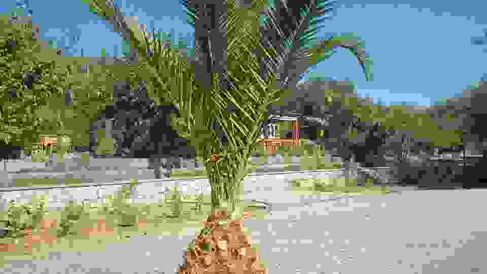 sam2