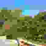 sam2