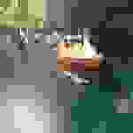sam28