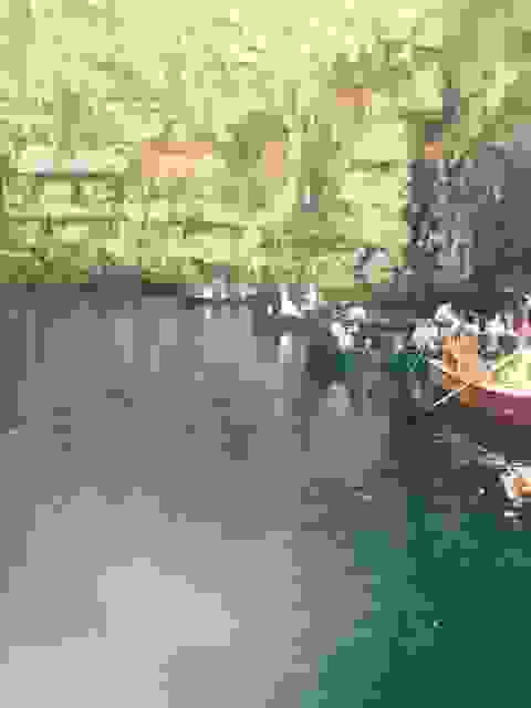 sam29