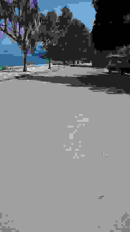 sam3