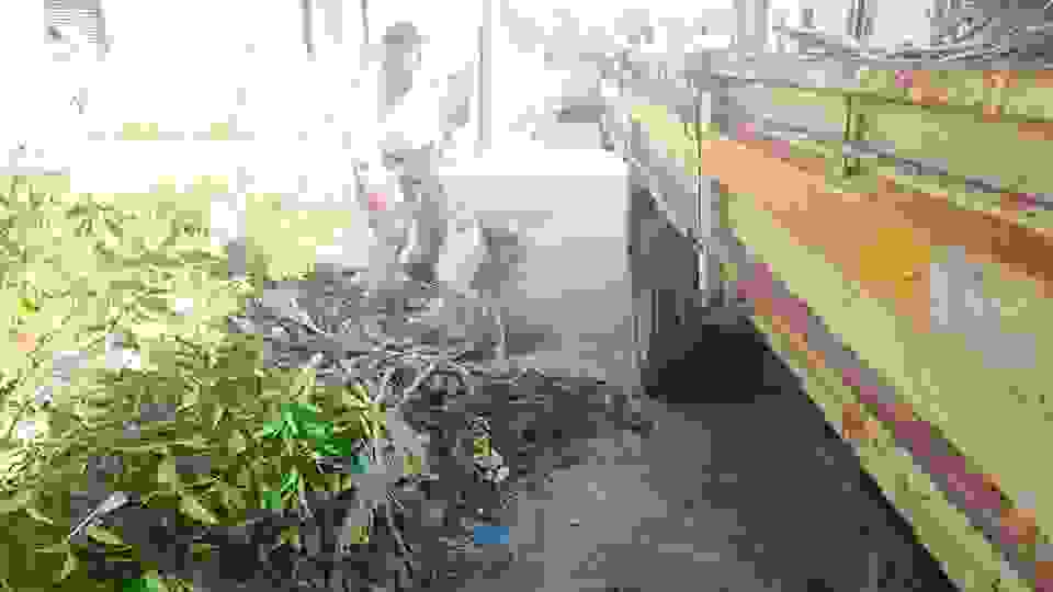 sam3