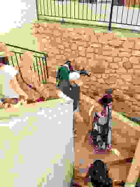 sam3