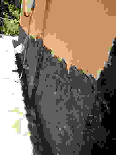 sam3