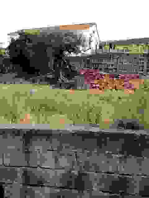 sam3