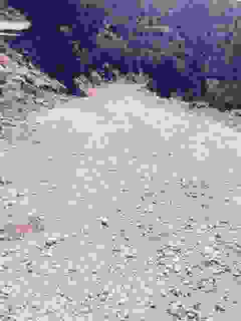 sam3