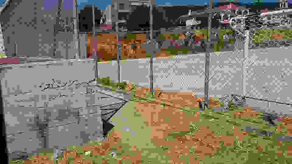 sam3