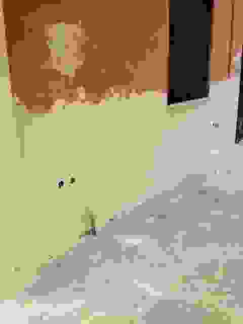 sam3