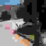 sam3