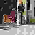 sam3