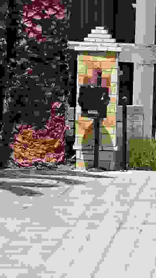 Sam3