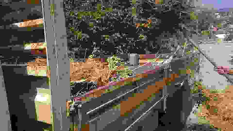 sam4