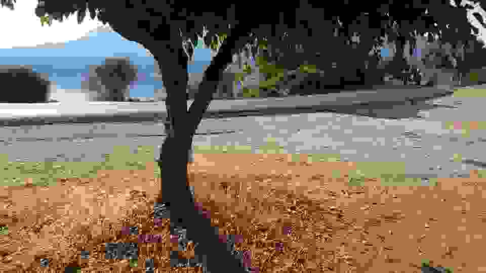 sam4