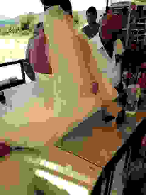 sam49