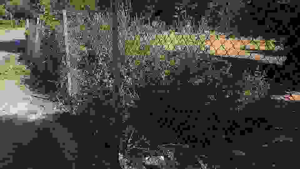 sam5