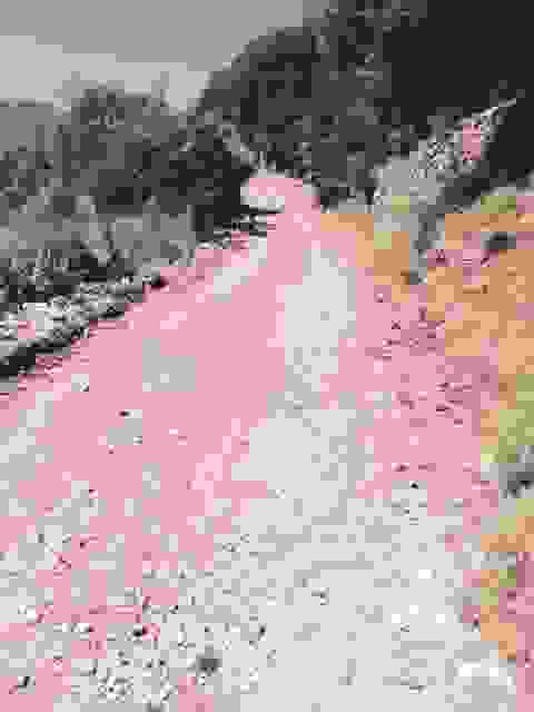 sam5