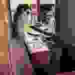 sam5