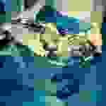 sam5