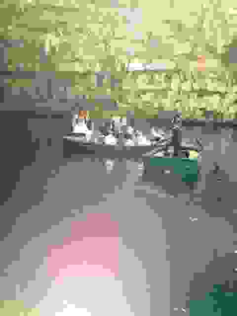 sam6