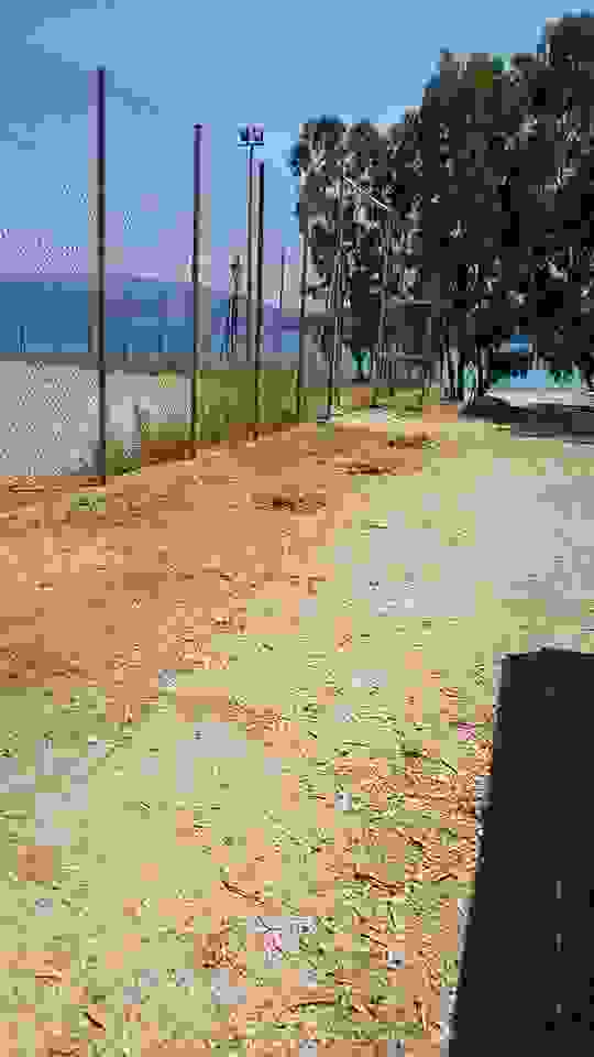 sam6