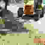 sam6