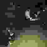 sam6
