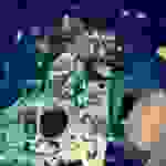 sam6