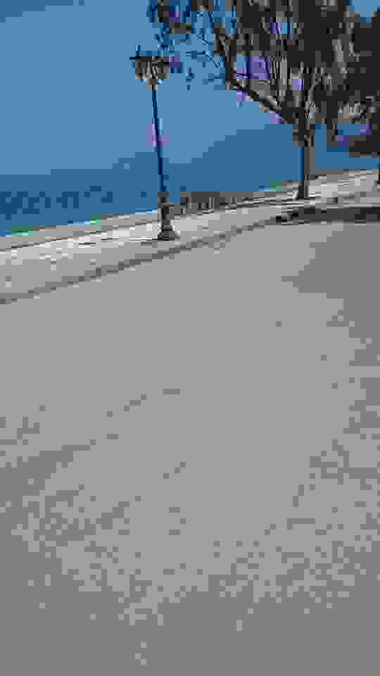 sam6