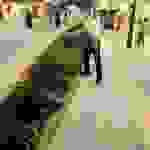 sam8