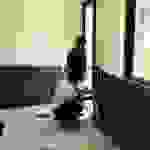 sam