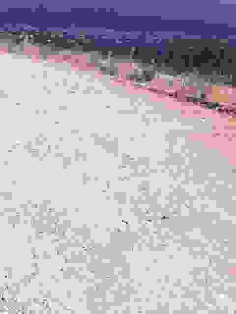 sam9