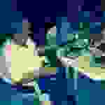 sam9
