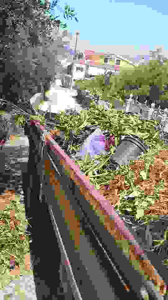 sam9