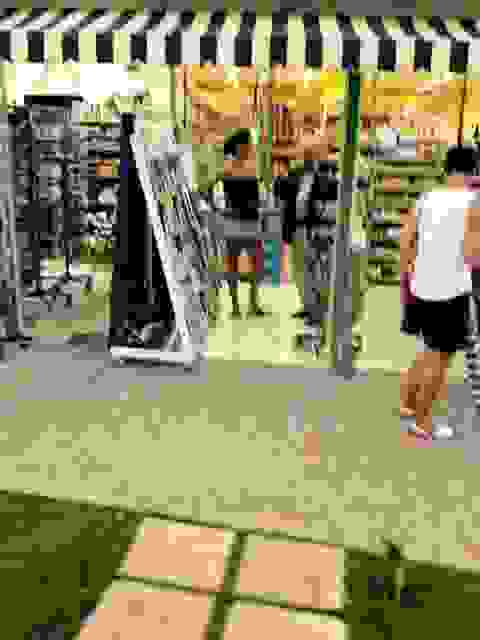 skala11